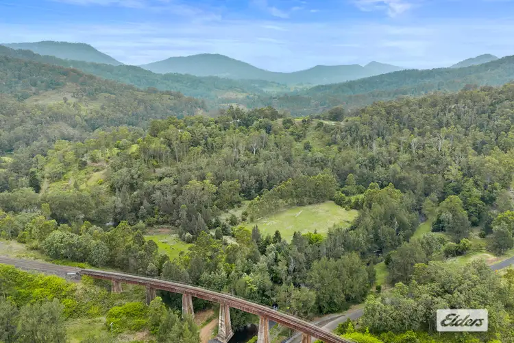 Third view of Homely rural property listing, 1 Gradys Creek Road, Cougal NSW 2474