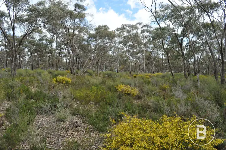 Fifth view of Homely land listing, CA 127E McDonald Road, Llanelly VIC 3551