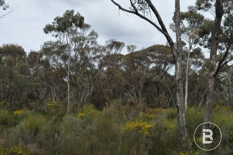 Sixth view of Homely land listing, CA 127E McDonald Road, Llanelly VIC 3551