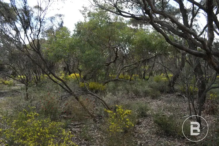 Seventh view of Homely land listing, CA 127E McDonald Road, Llanelly VIC 3551