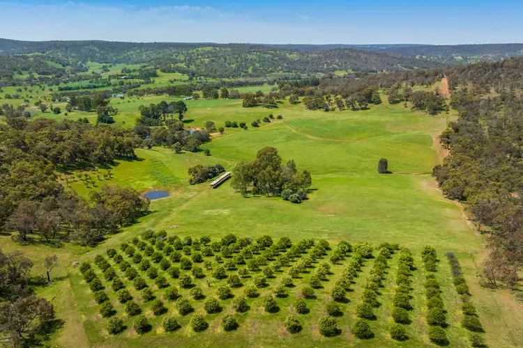 Fourth view of Homely rural property listing, 2328 Chittering Road, Lower Chittering WA 6084