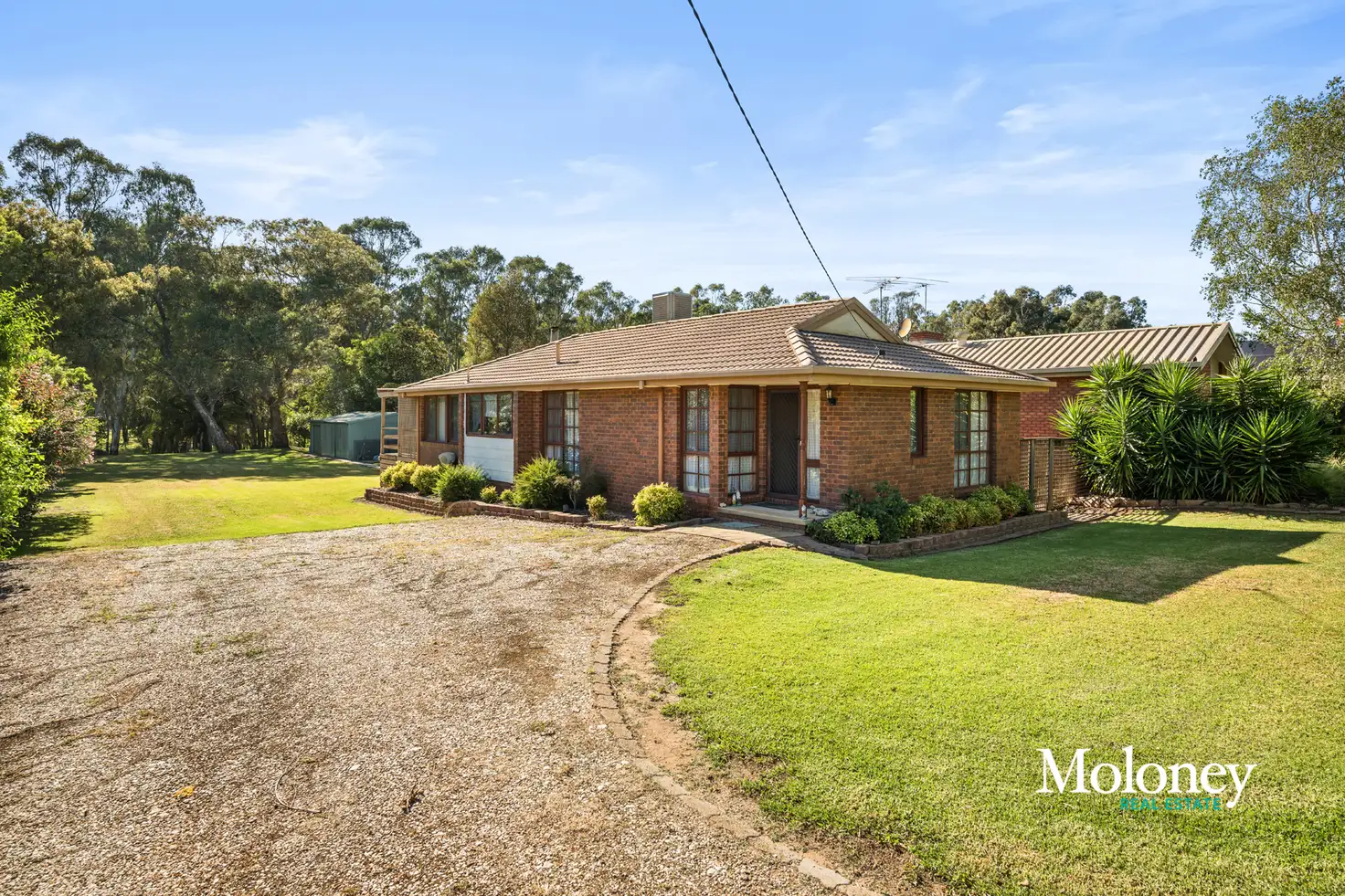 Main view of Homely house listing, 244 River Street, Corowa NSW 2646