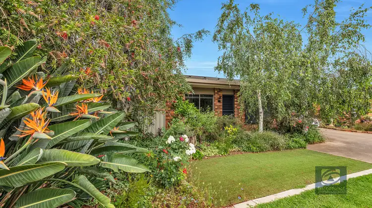 Main view of Homely unit listing, 6/99-101 Shackell Street, Echuca VIC 3564