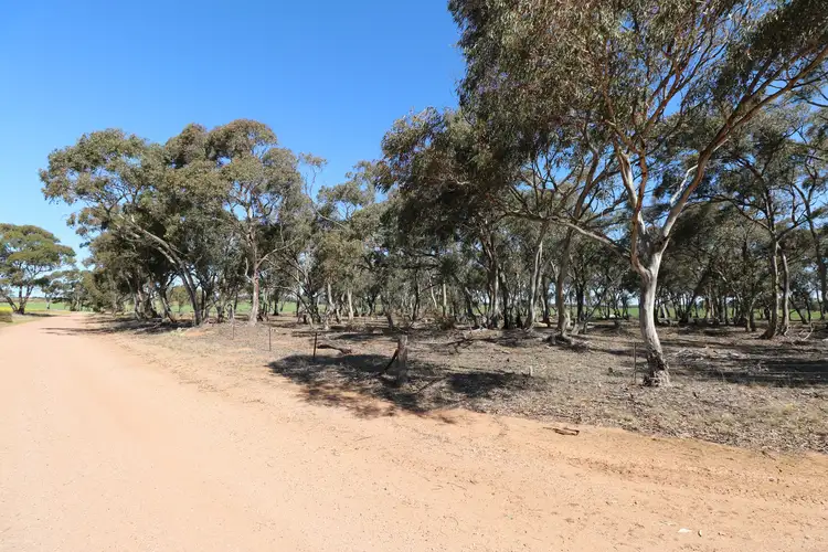 Sixth view of Homely rural property listing, LOT 4A, Sec3 Woolshed Flat Road, Woolshed Flat VIC 3518