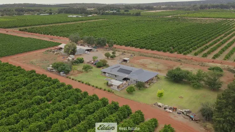 Main view of Homely house listing, 337 Harward Road, Tharbogang NSW 2680