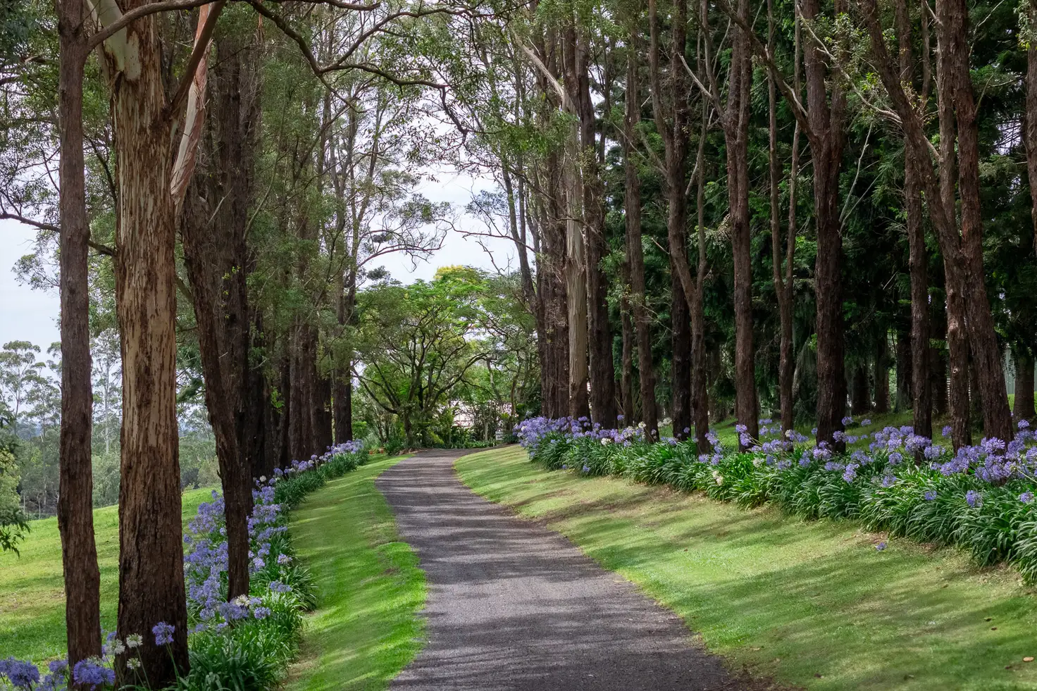 Main view of Homely house listing, 231 Sneaths Road, Wollongbar NSW 2477