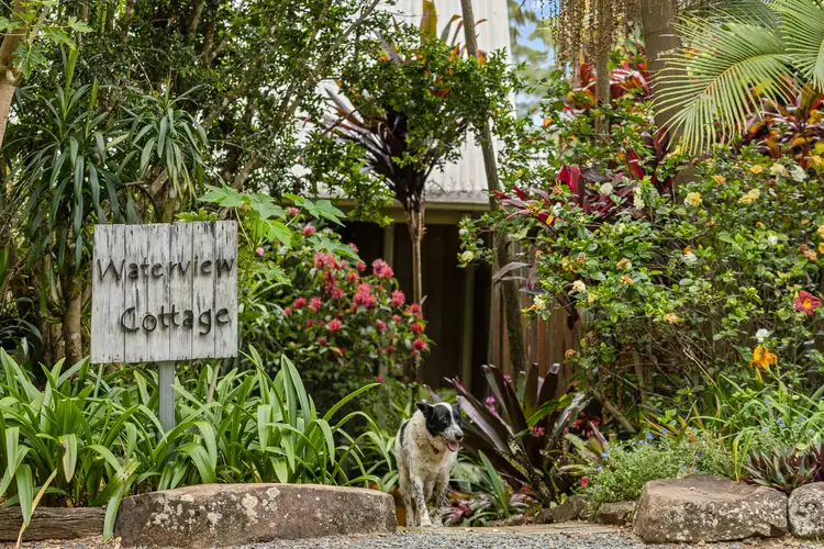 Fourth view of Homely house listing, 231 Sneaths Road, Wollongbar NSW 2477