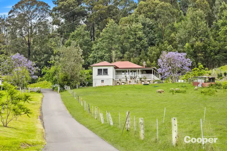 Sixth view of Homely rural property listing, 89 Golden Flats Lane, Conjola NSW 2539