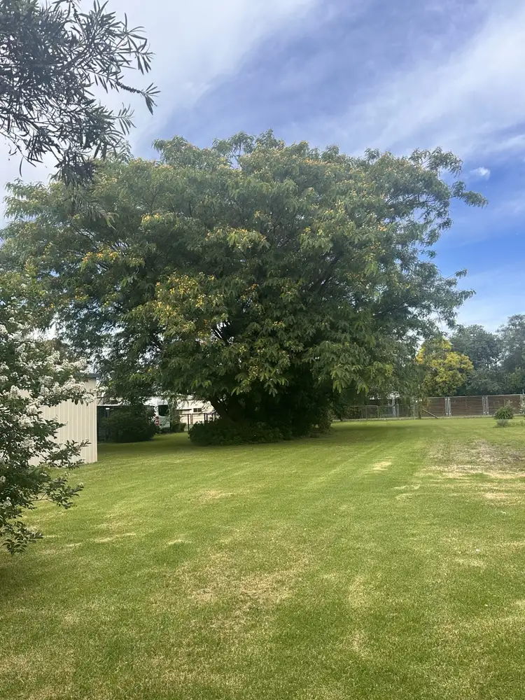 Third view of Homely land listing, LOT 1 Neale Avenue, Allora QLD 4362
