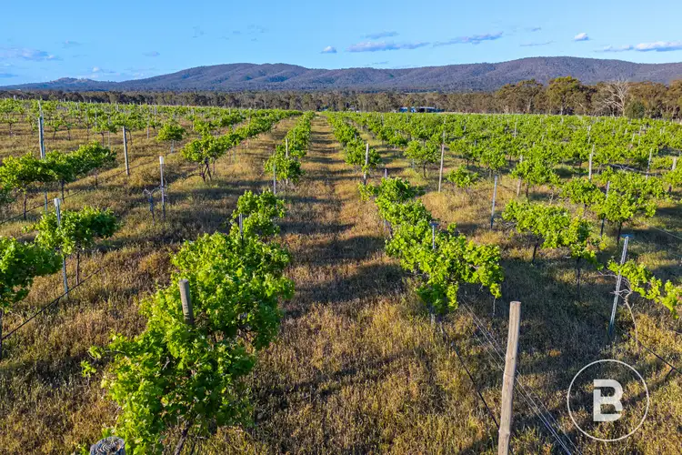 Third view of Homely land listing, 194 Rifle Butts Road, Landsborough VIC 3384