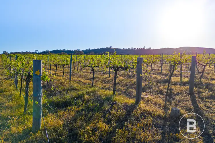 Fourth view of Homely land listing, 194 Rifle Butts Road, Landsborough VIC 3384