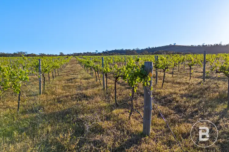 Seventh view of Homely land listing, 194 Rifle Butts Road, Landsborough VIC 3384