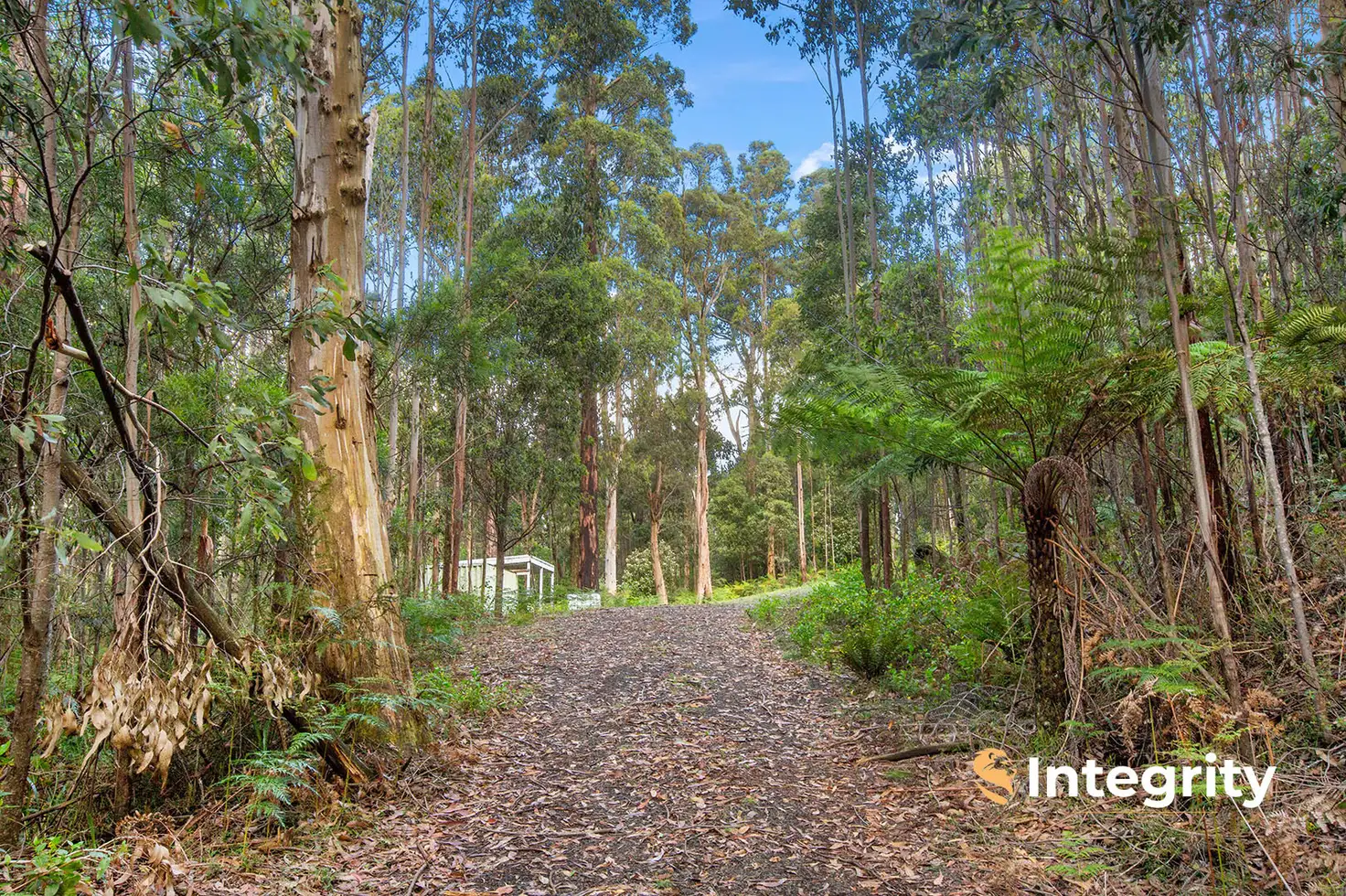 Main view of Homely land listing, 111 Deviation Road, Kinglake Central VIC 3757