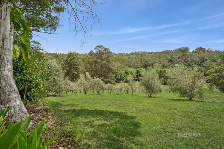 Fourth view of Homely house listing, 211 Jorgensen Road, Ridgewood QLD 4563