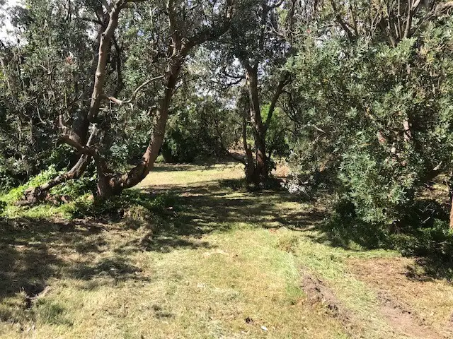 23 Cantor Drive, Venus Bay VIC 3956