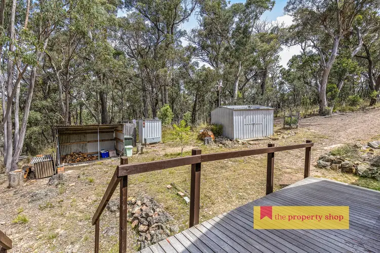 Fifth view of Homely rural property listing, 149 Triangle Swamp Road, Mudgee NSW 2850