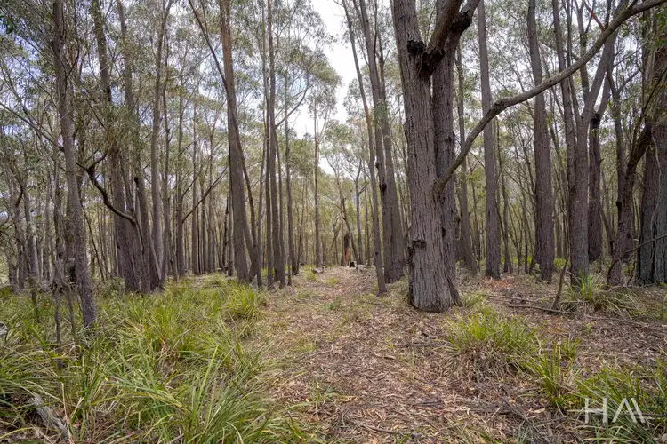 Fourth view of Homely land listing, 301 Gardiners Creek Road, St Marys TAS 7215