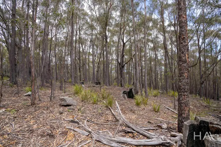 Sixth view of Homely land listing, 301 Gardiners Creek Road, St Marys TAS 7215