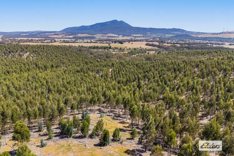 Fourth view of Homely rural property listing, Iron Pot Creek Road, Mount Cole Creek VIC 3377