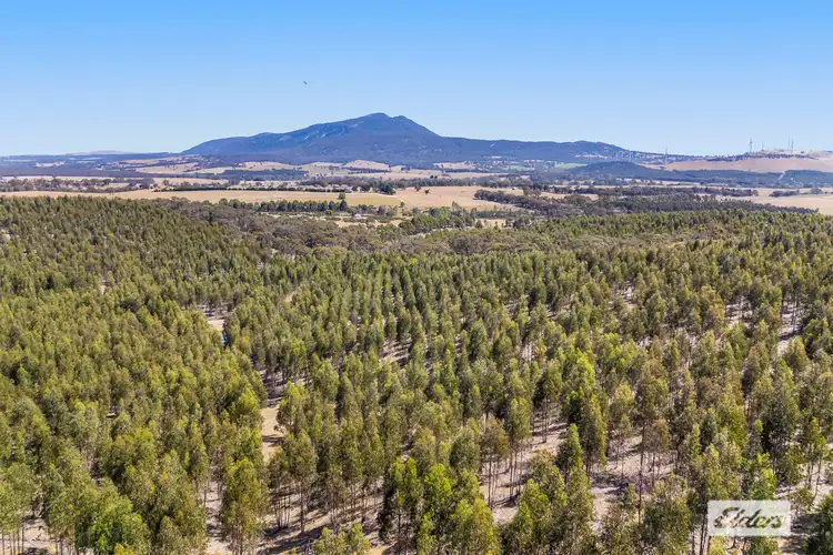 Sixth view of Homely rural property listing, Iron Pot Creek Road, Mount Cole Creek VIC 3377