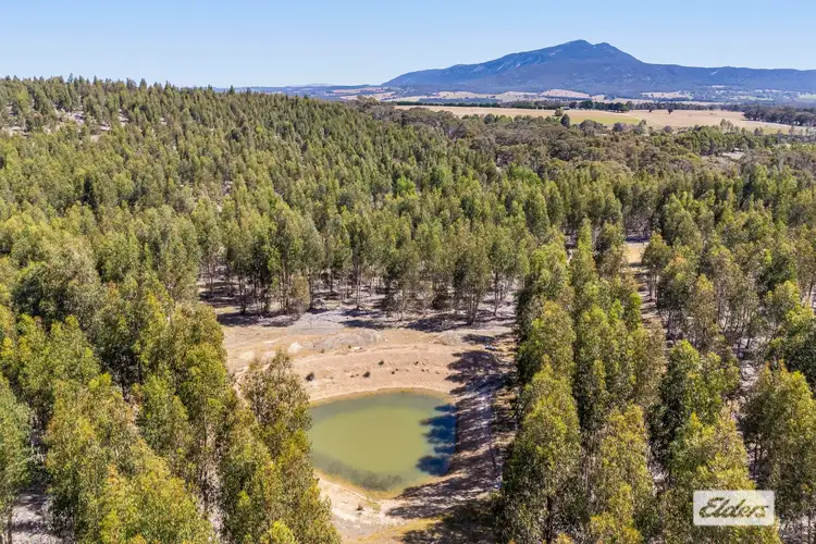 Seventh view of Homely rural property listing, Iron Pot Creek Road, Mount Cole Creek VIC 3377