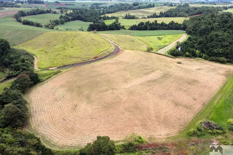 Main view of Homely rural property listing, LOT 3, 1 Twine Road, Camp Creek QLD 4871