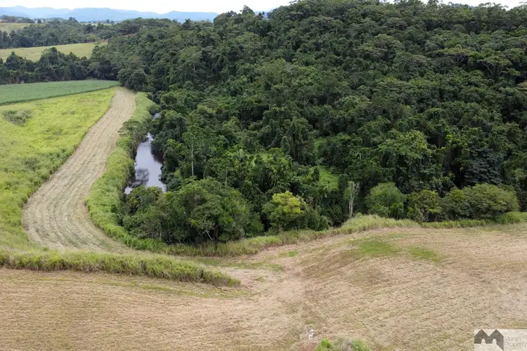 Third view of Homely rural property listing, LOT 3, 1 Twine Road, Camp Creek QLD 4871