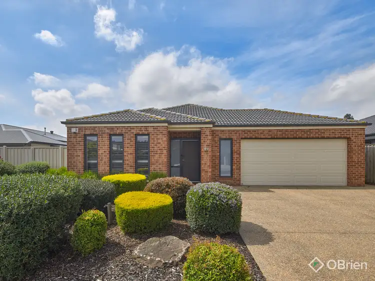 Main view of Homely house listing, 50 Collingwood Drive, Trafalgar VIC 3824