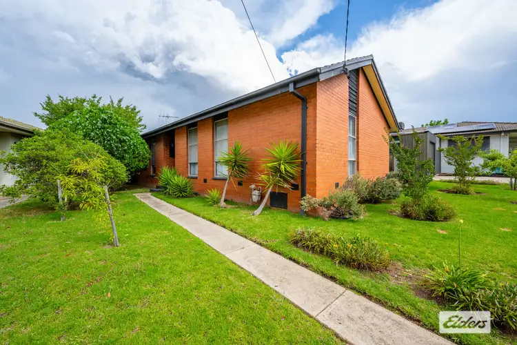 Main view of Homely house listing, 24 Belgrade Avenue, Wodonga VIC 3690