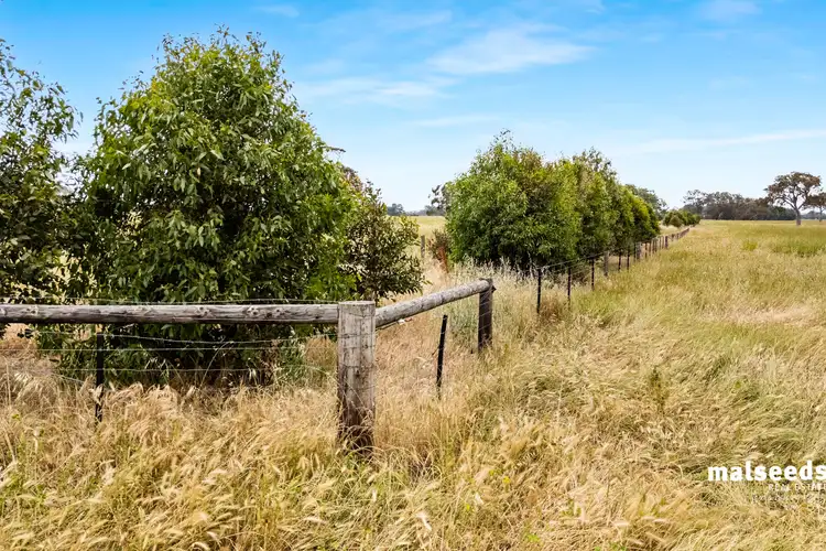 Third view of Homely rural property listing, 127 Kentish Road, Mingbool SA 5291