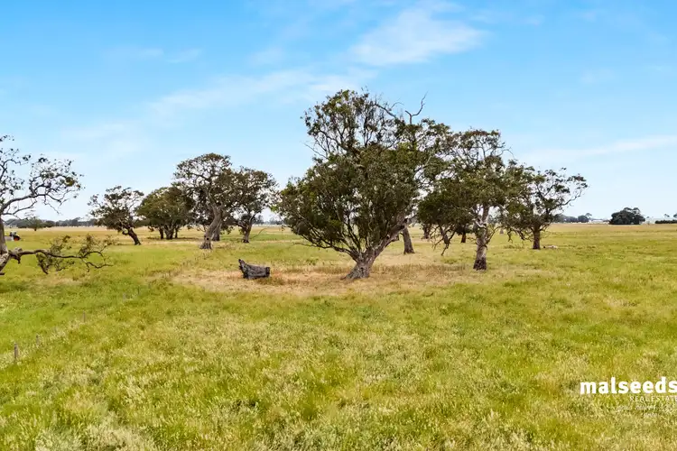 Fifth view of Homely rural property listing, 127 Kentish Road, Mingbool SA 5291
