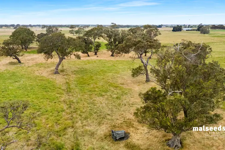 Sixth view of Homely rural property listing, 127 Kentish Road, Mingbool SA 5291