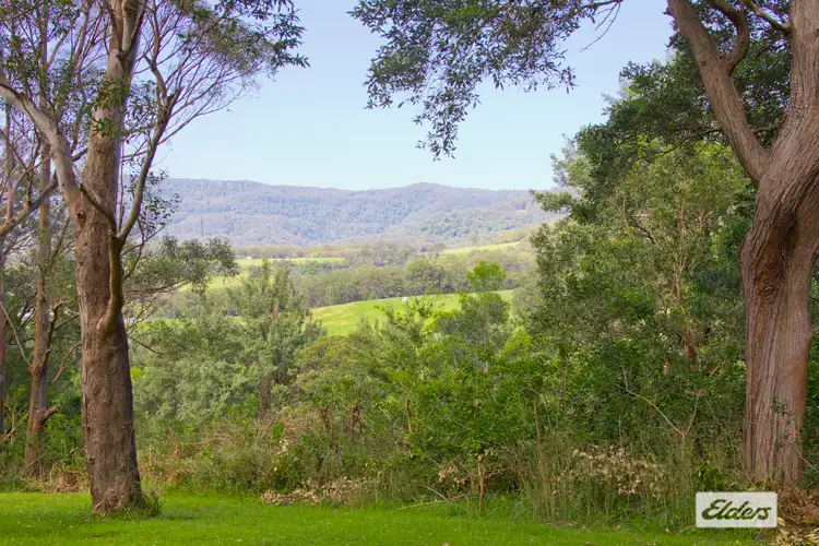 219 North Curramore Road, Jamberoo NSW 2533