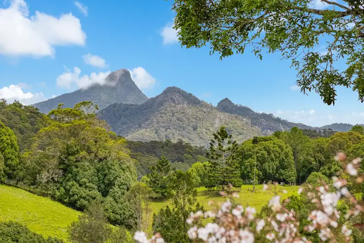 Fifth view of Homely house listing, 260 Rowlands Creek Road, Uki NSW 2484