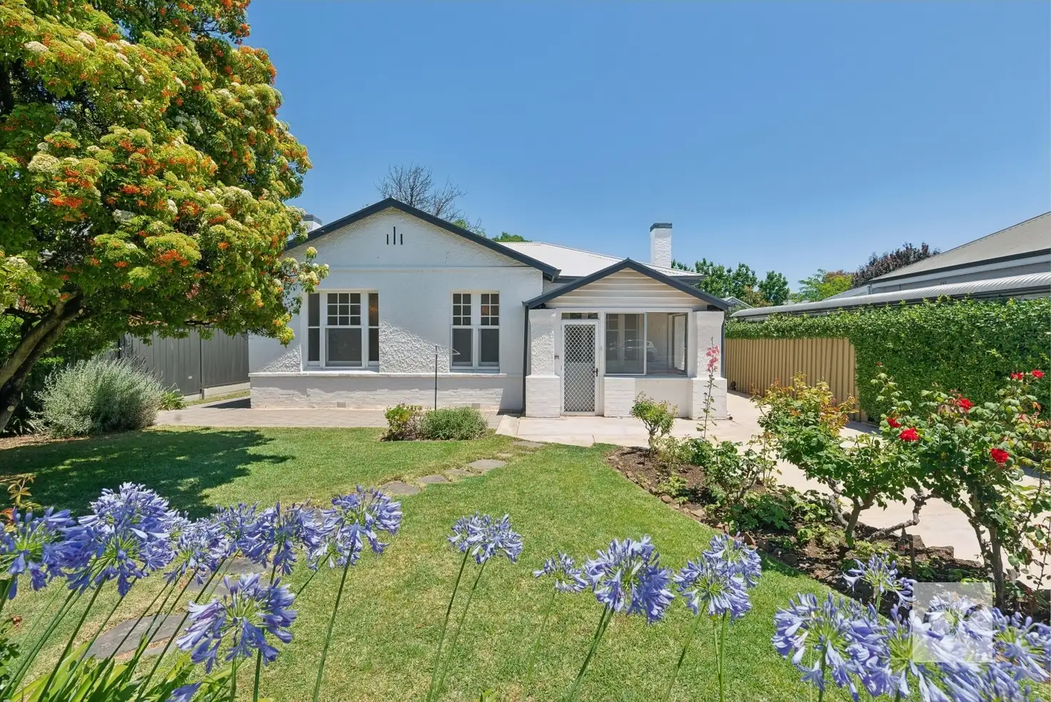 Main view of Homely house listing, 6 Ravensthorpe Avenue, Millswood SA 5034