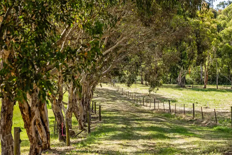 Third view of Homely rural property listing, 140 River Road, Hahndorf SA 5245
