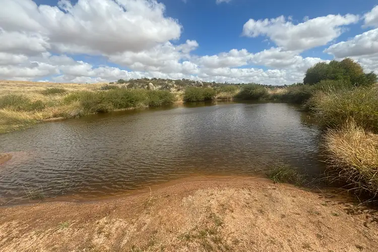 Second view of Homely rural property listing, Lot 65 Forrester Road, Mount Erin WA 6532