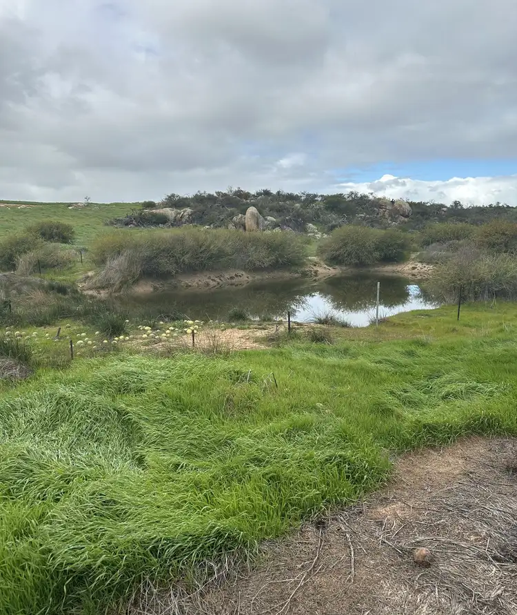 Third view of Homely rural property listing, Lot 65 Forrester Road, Mount Erin WA 6532