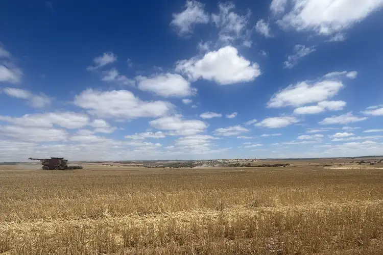 Sixth view of Homely rural property listing, Lot 65 Forrester Road, Mount Erin WA 6532