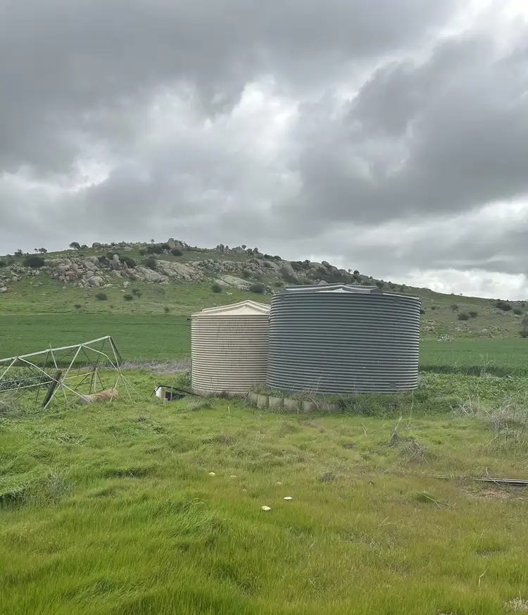 Seventh view of Homely rural property listing, Lot 65 Forrester Road, Mount Erin WA 6532