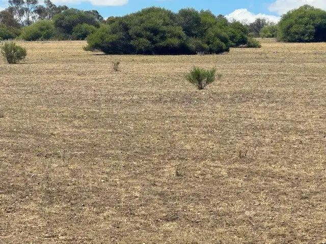 Sixth view of Homely rural property listing, CA8 Calder Highway, Wedderburn VIC 3518