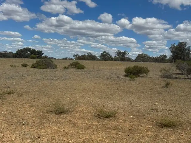 Seventh view of Homely rural property listing, CA8 Calder Highway, Wedderburn VIC 3518