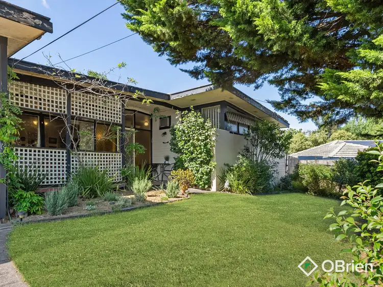 Second view of Homely house listing, 17 Cornell Court, Frankston VIC 3199