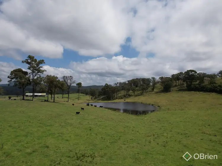 Main view of Homely rural property listing, 940 Orrs Road, Clifton Creek VIC 3875