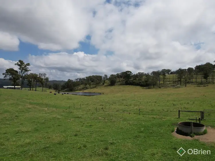 Second view of Homely rural property listing, 940 Orrs Road, Clifton Creek VIC 3875