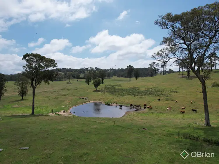 Fourth view of Homely rural property listing, 940 Orrs Road, Clifton Creek VIC 3875