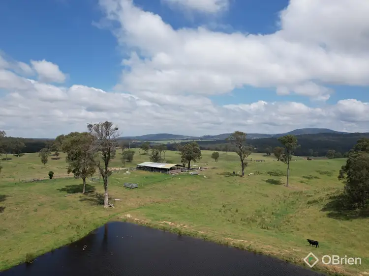 Fifth view of Homely rural property listing, 940 Orrs Road, Clifton Creek VIC 3875