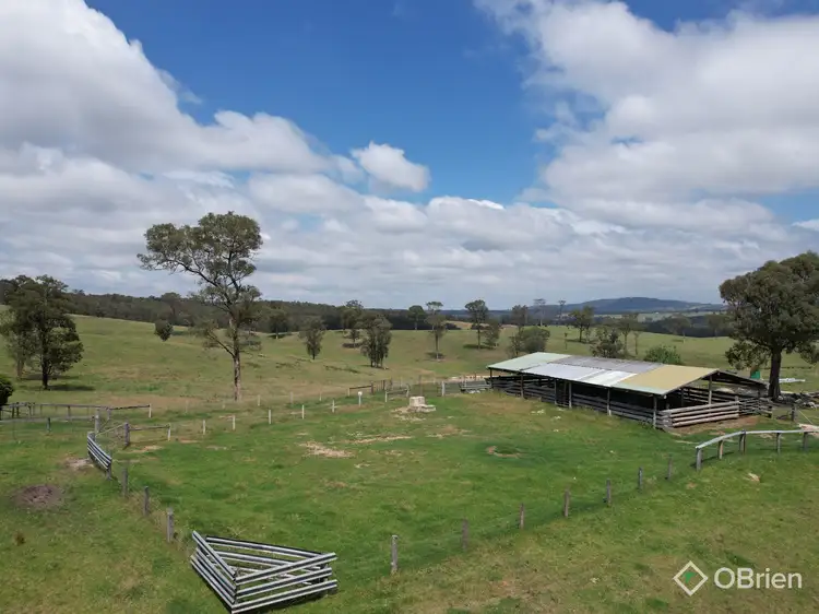 Sixth view of Homely rural property listing, 940 Orrs Road, Clifton Creek VIC 3875