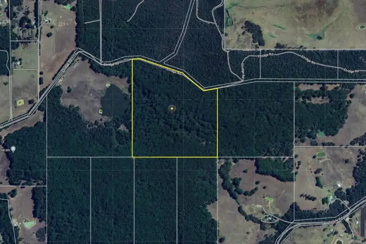 Sixth view of Homely rural property listing, 254 Silver Road, Scotsdale WA 6333
