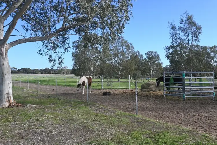 Fifth view of Homely rural property listing, 2463 Quairading - York Road, East Beverley WA 6304